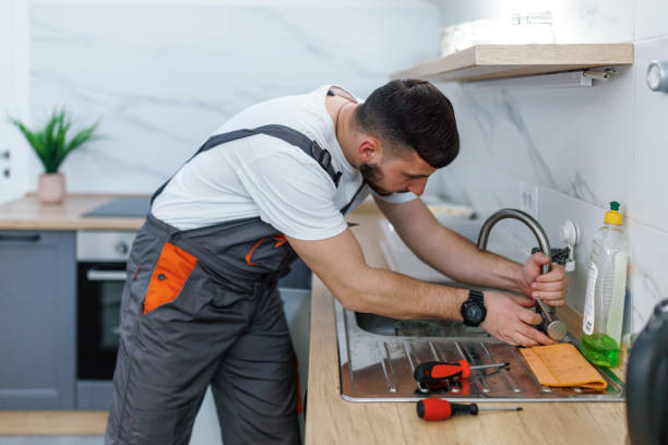 Best Local Plumber Services  in Lisbon, ND